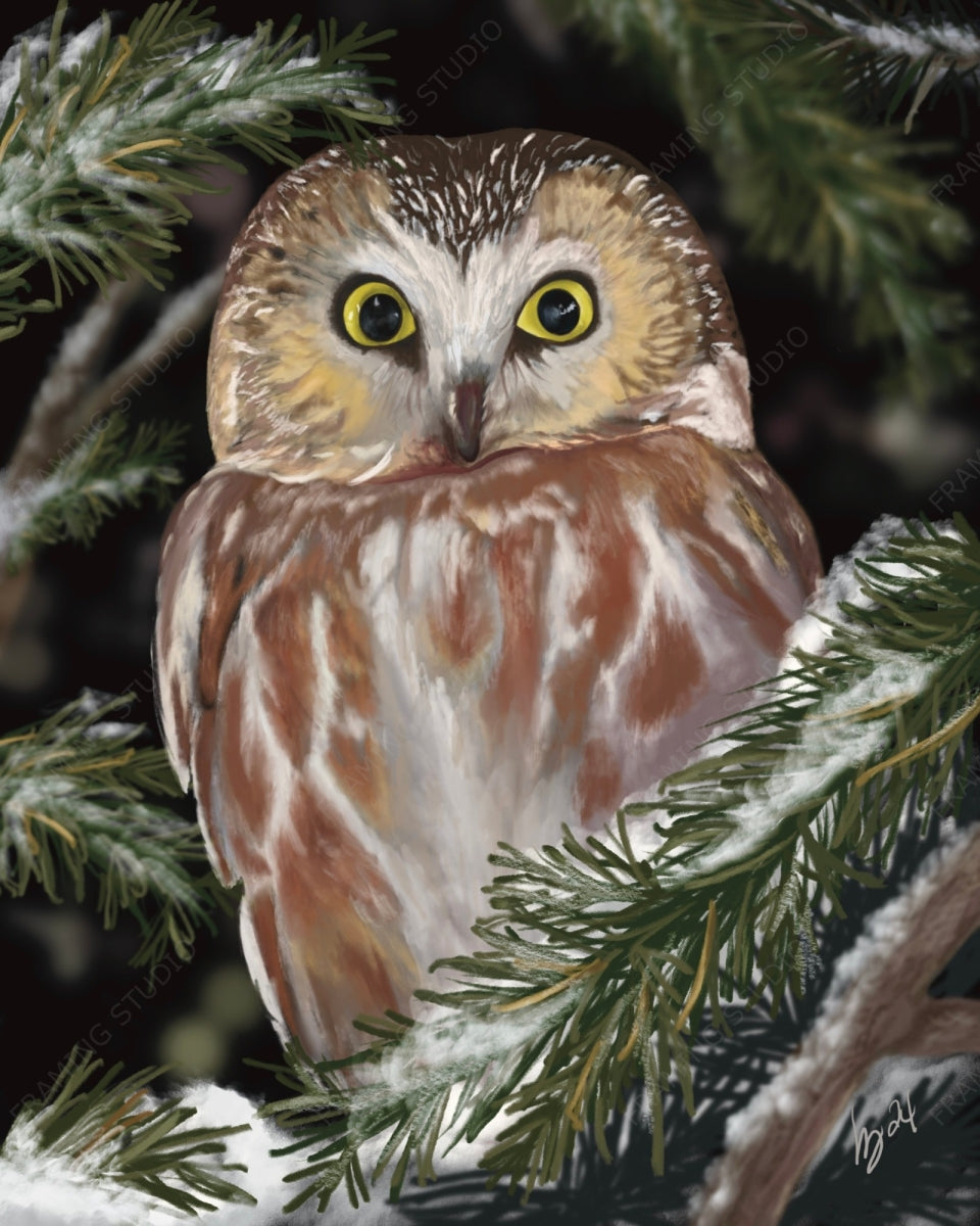 Order Giclee Prints