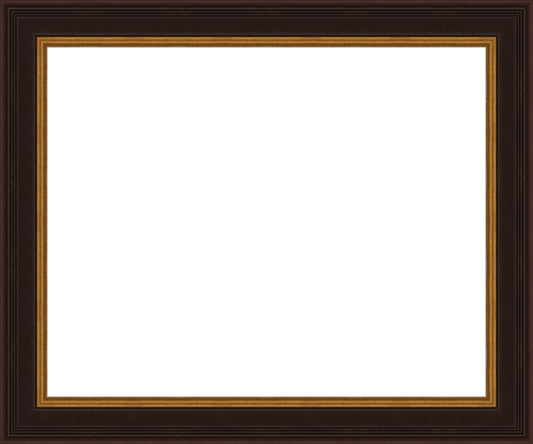 Larson Juhl 573239 Black and Gold Plein Aire Ready Made frame