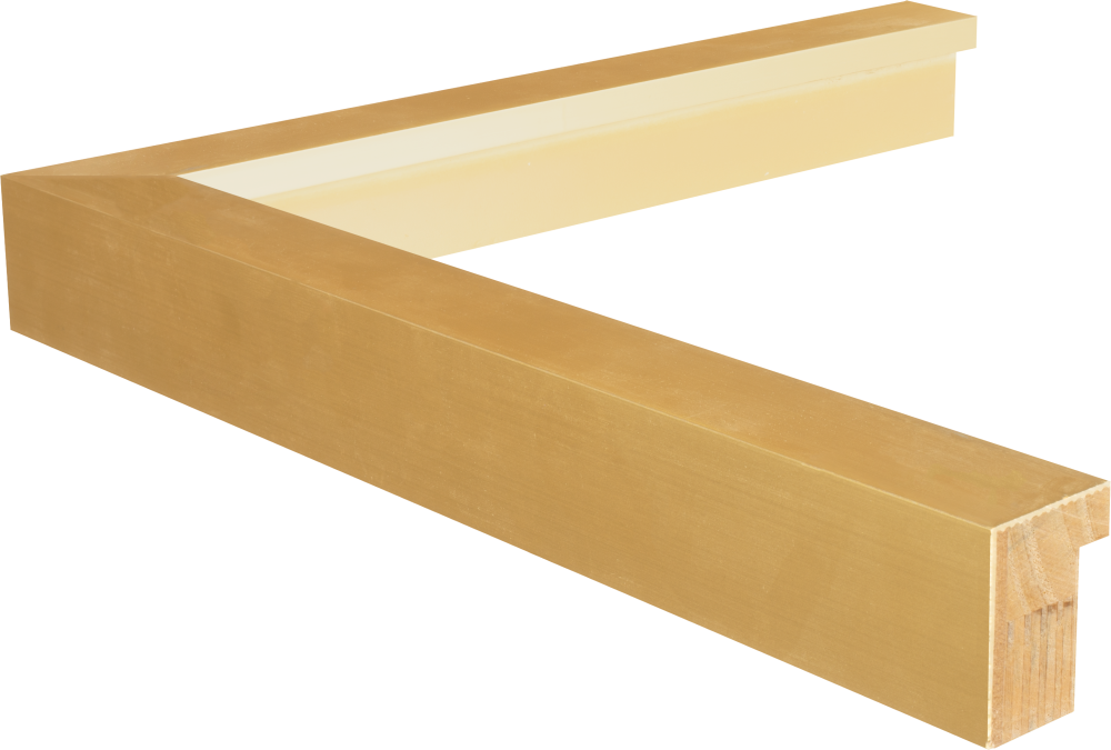 Gold Gallery Picture frame
