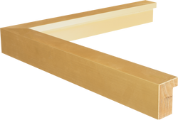 Gold Gallery Picture frame