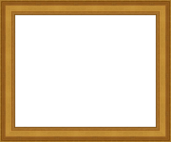 Gallery Picture Frames : Ready Made in Standard Sizes