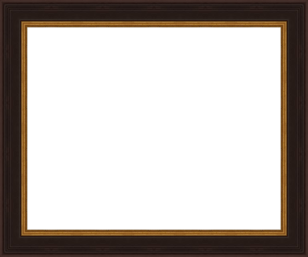 Larson Juhl 573239 Black and Gold Plein Aire frame Gallery Quality Wood Moulding