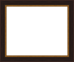 Larson Juhl 573239 Black and Gold Plein Aire frame Gallery Quality Wood Moulding