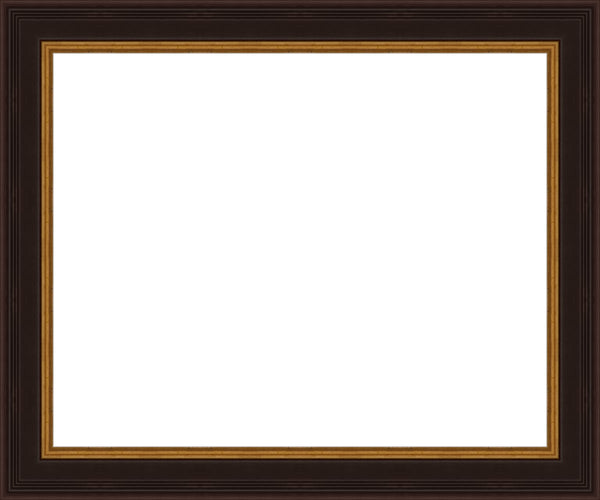 Larson Juhl 573239 Black and Gold Plein Aire frame Gallery Quality Wood Moulding