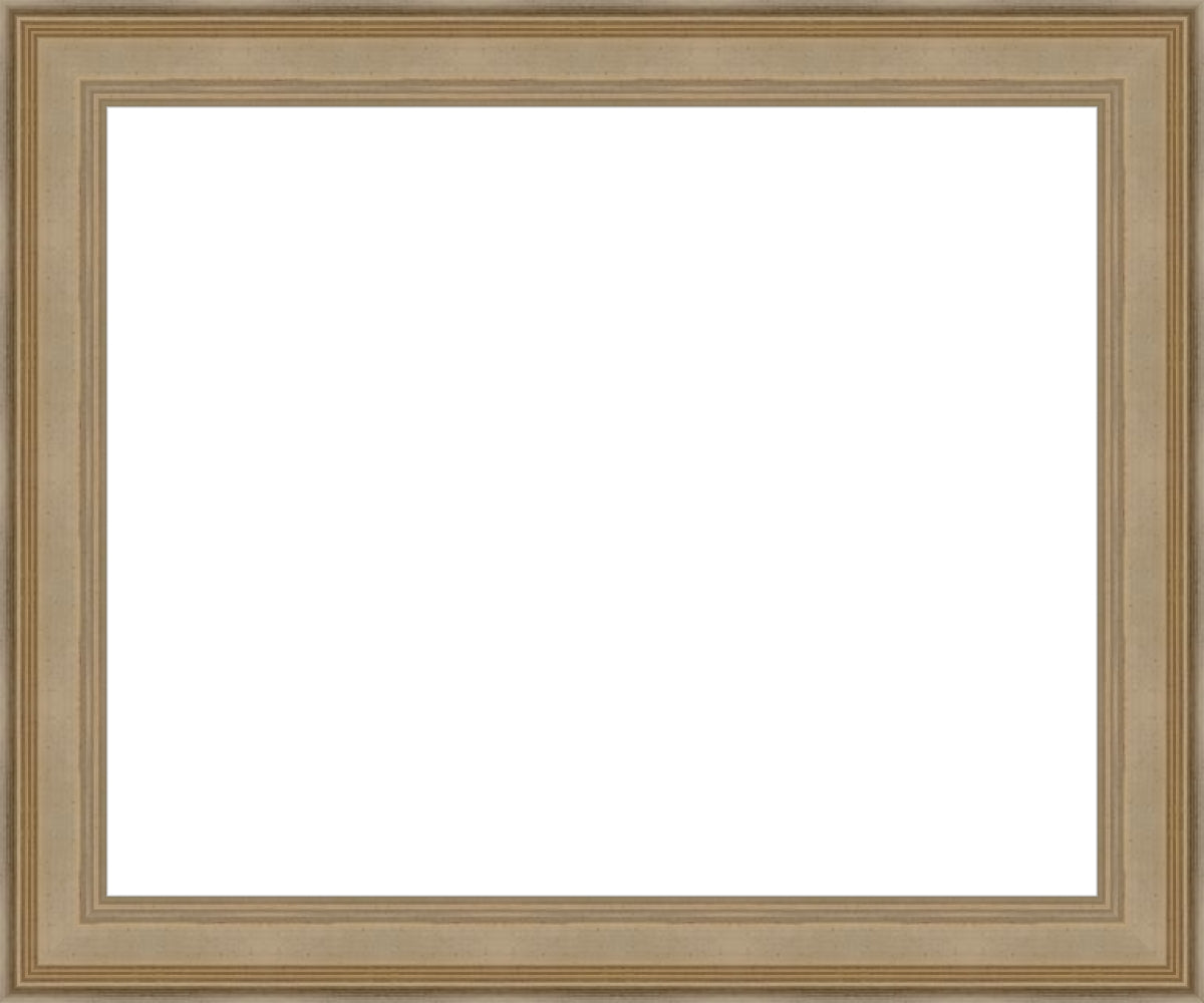 Larson Juhl 573237 Pewter Plein Aire Ready Made frame