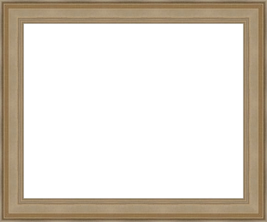 Larson Juhl 573237 Pewter Plein Aire Ready Made frame