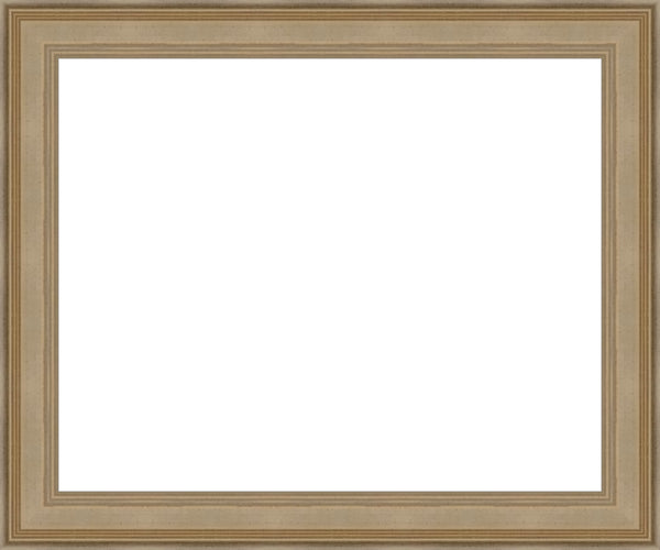 Larson Juhl 573237 Pewter Plein Aire frame Gallery Quality Wood Moulding