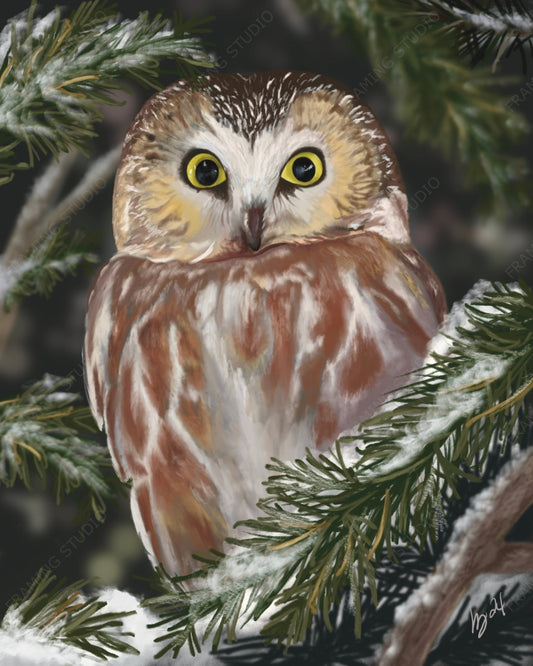Order Giclee Prints